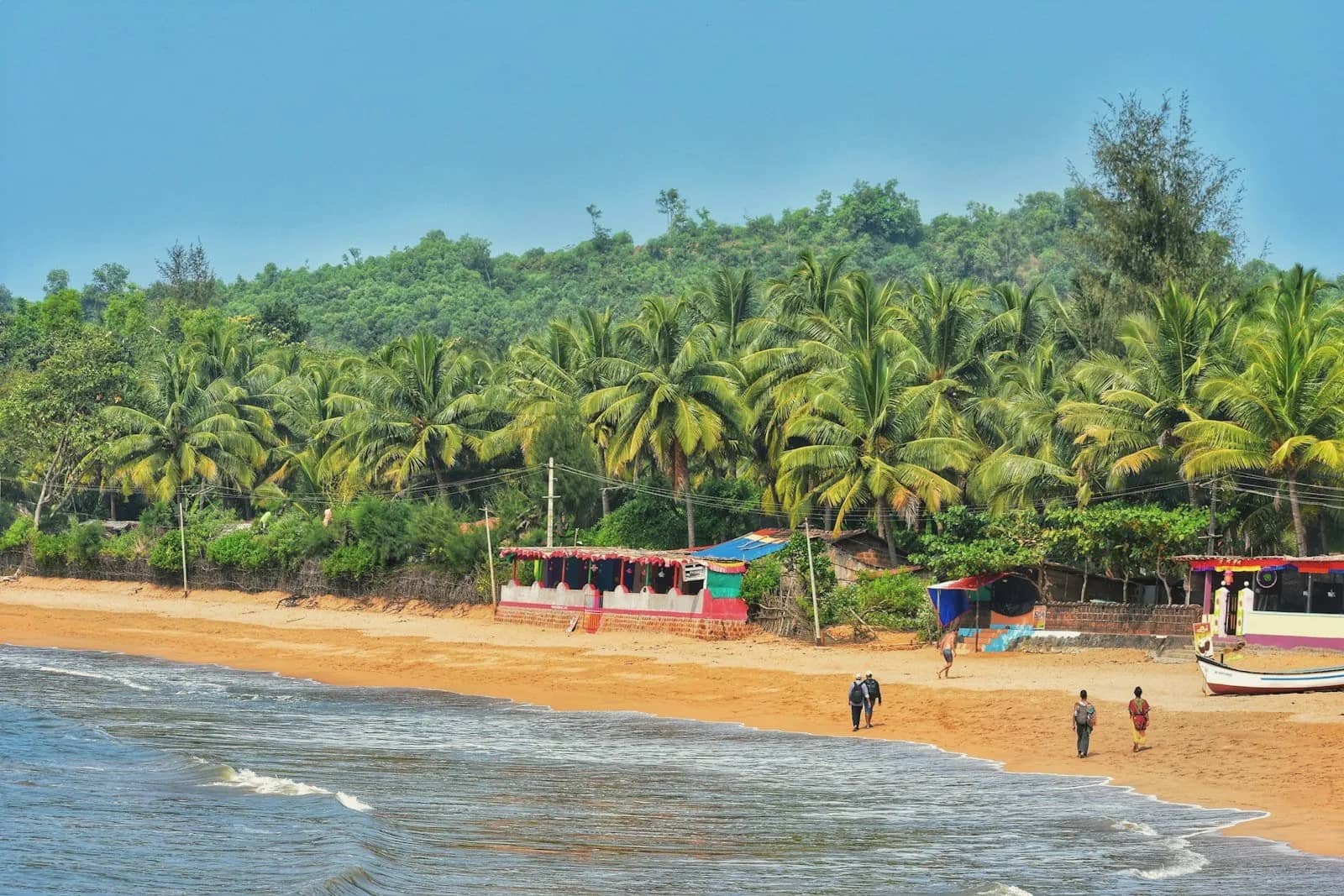 A quiet Goa beach with palm trees and beach shacks