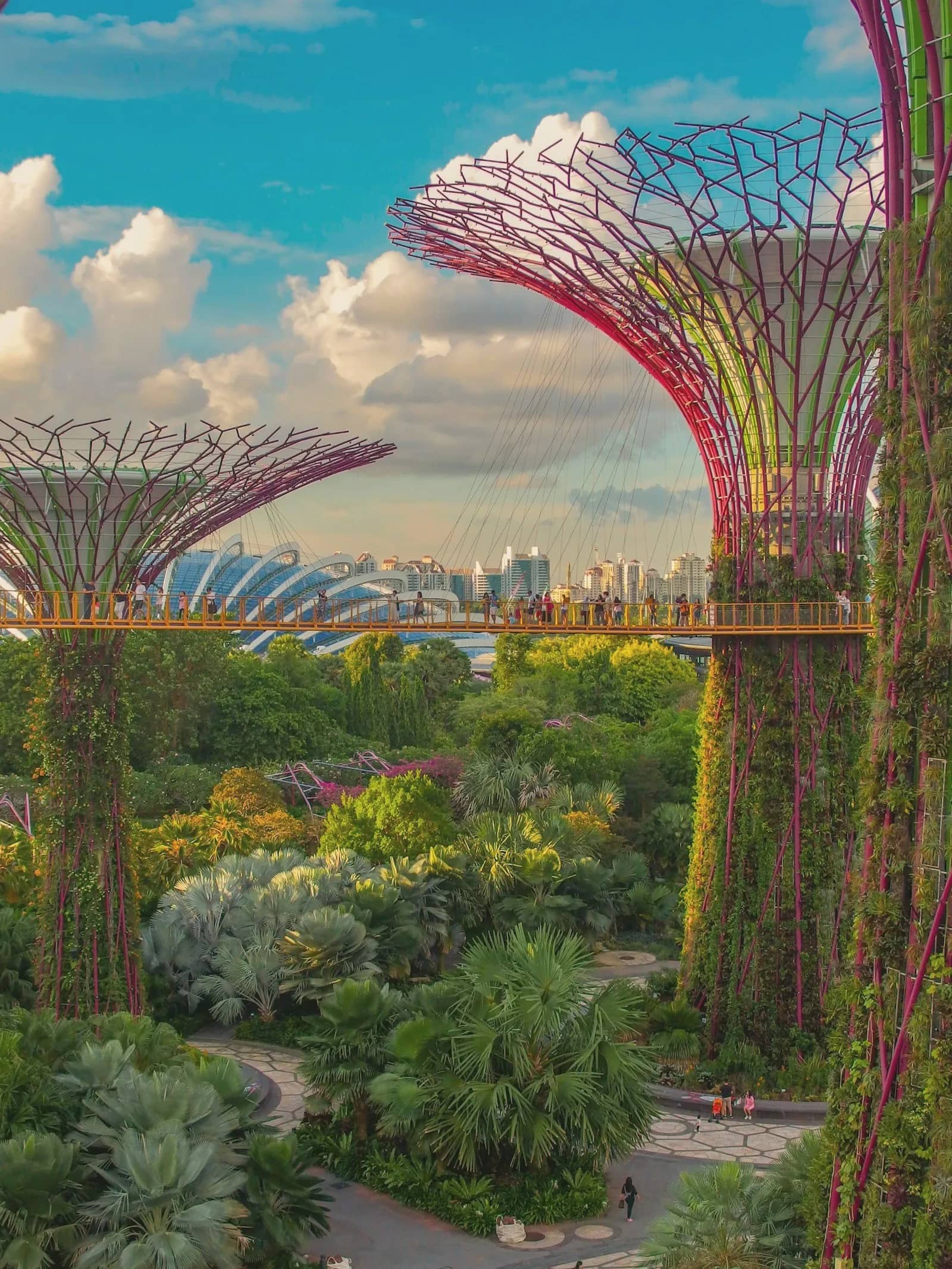 The Supertree Grove at Gardens by the Bay, Singapore