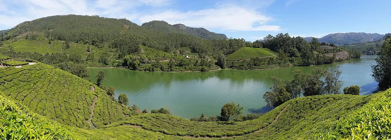 Mattupetty Dam, Munnar