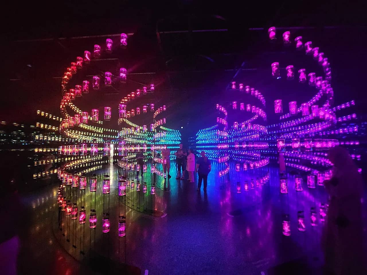 The DNA library exhibit inside the Museum of the Future, Dubai